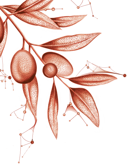 immagine decorativa
